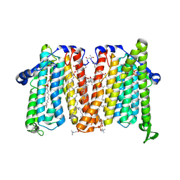 BU of 8urp by Molmil