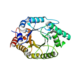 BU of 8use by Molmil