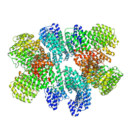 BU of 8usq by Molmil