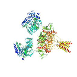 BU of 8usw by Molmil