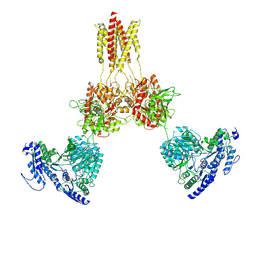 BU of 8usx by Molmil