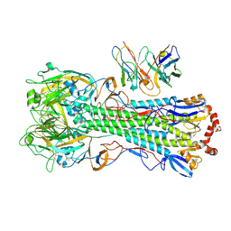 BU of 8ut5 by Molmil