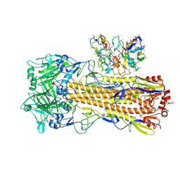 BU of 8ut6 by Molmil