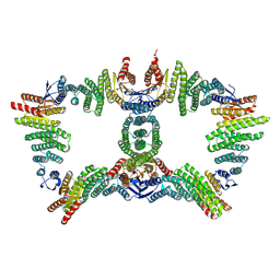 BU of 8utm by Molmil