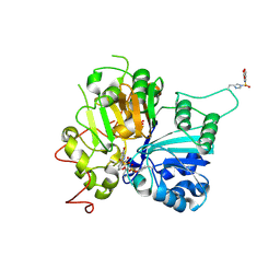 BU of 8uv1 by Molmil