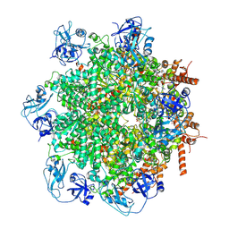 BU of 8uv2 by Molmil