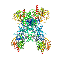 BU of 8uva by Molmil