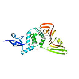 BU of 8uvm by Molmil