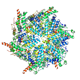 BU of 8uvp by Molmil