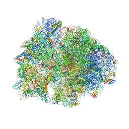 BU of 8uvs by Molmil