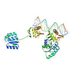 BU of 8uvx by Molmil