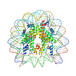 AU of 8uw1 by Molmil