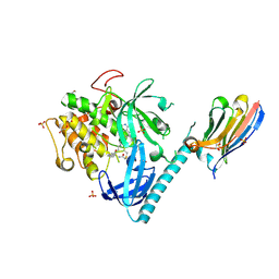 BU of 8uw7 by Molmil