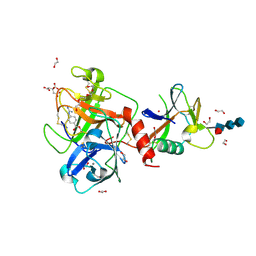 BU of 8v04 by Molmil