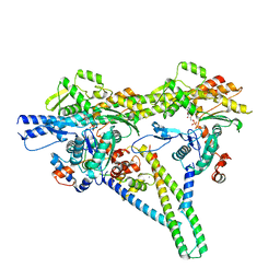 BU of 8v0i by Molmil