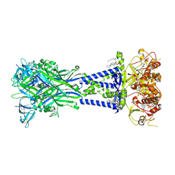 BU of 8v4s by Molmil