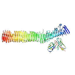 BU of 8vba by Molmil