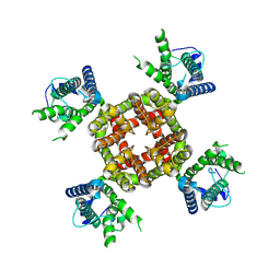 BU of 8vc6 by Molmil