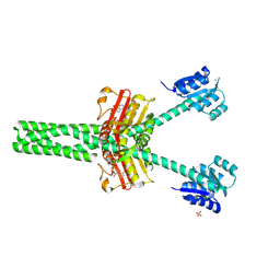 BU of 8vc9 by Molmil