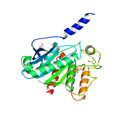 BU of 8vca by Molmil