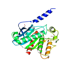 BU of 8vcd by Molmil