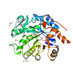 BU of 8vcn by Molmil