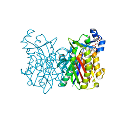 BU of 8vda by Molmil