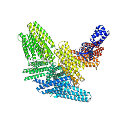 BU of 8vdp by Molmil