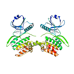 BU of 8vf6 by Molmil