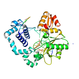 BU of 8vf8 by Molmil