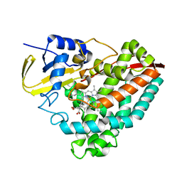 BU of 8vfp by Molmil