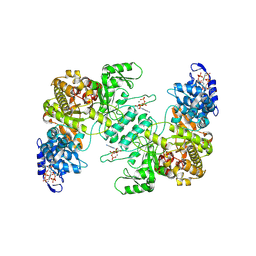 BU of 8vhr by Molmil