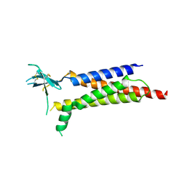 BU of 8vhv by Molmil