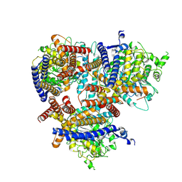 BU of 8vi0 by Molmil