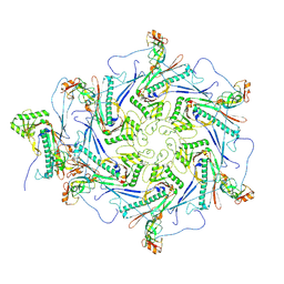 BU of 8vji by Molmil