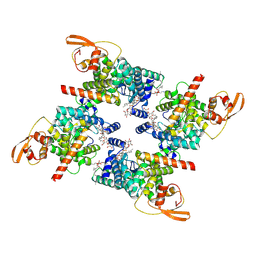 BU of 8vjl by Molmil