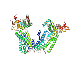 BU of 8vjm by Molmil