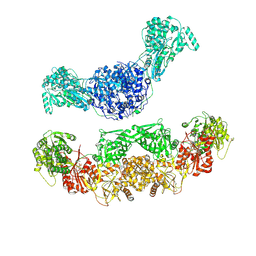 AU of 8vm7 by Molmil