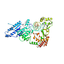 BU of 8vph by Molmil