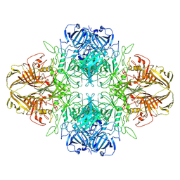 BU of 8vt0 by Molmil