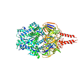 BU of 8vt2 by Molmil