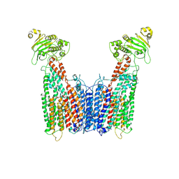 BU of 8vt4 by Molmil
