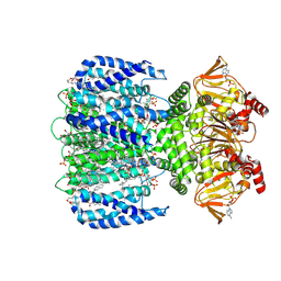 AU of 8vt9 by Molmil