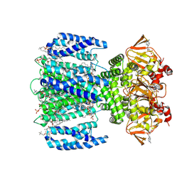 BU of 8vta by Molmil