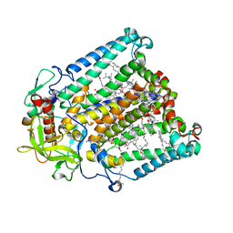 BU of 8vtk by Molmil