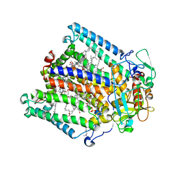 BU of 8vtl by Molmil