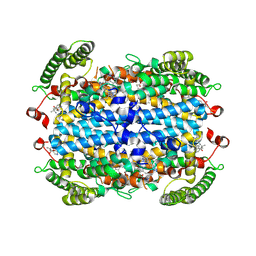 BU of 8vtq by Molmil