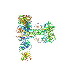 BU of 8vue by Molmil