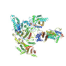 BU of 8w9c by Molmil