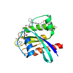 BU of 8wb1 by Molmil